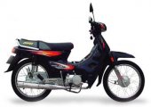 2007 Veli VL110 photo